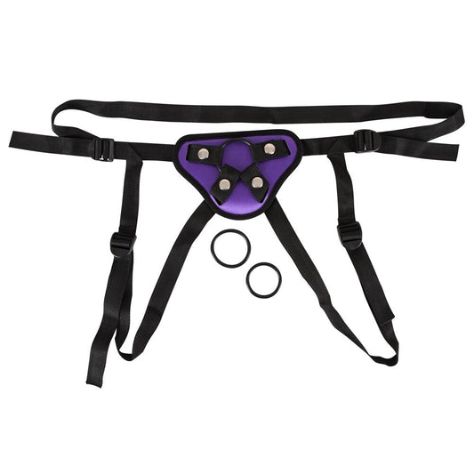 Purple And Black Universal Harness