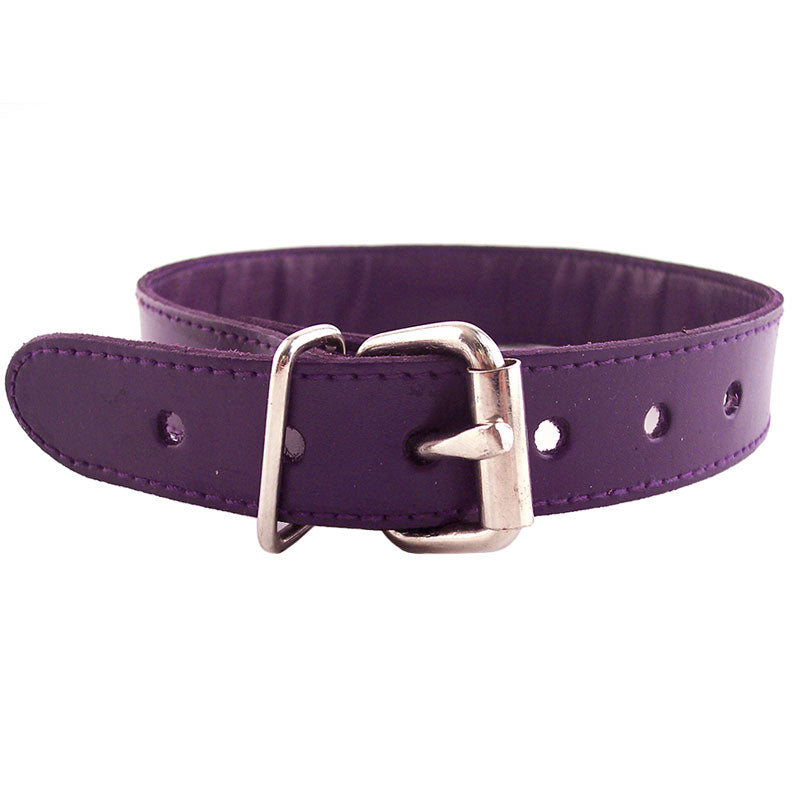 Rouge Garments Purple Studded ORing Studded Collar